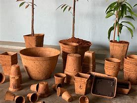 Biodegradable pots