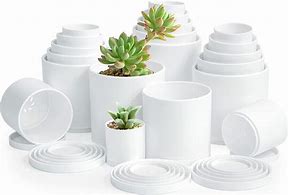 Plastic Pots